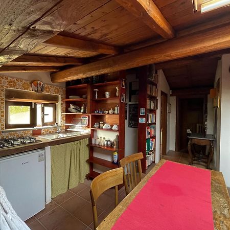Country House Tra Lago E Mare A Sud Di Roma Villa Campoleone Dış mekan fotoğraf