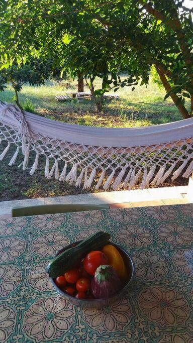 Country House Tra Lago E Mare A Sud Di Roma Villa Campoleone Dış mekan fotoğraf